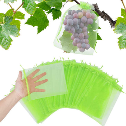 Skyddspåse för frukt (100 PCS)