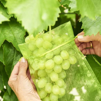 Skyddspåse för frukt (100 PCS)