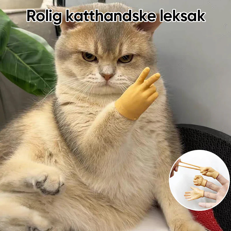 Rolig katthandske leksak