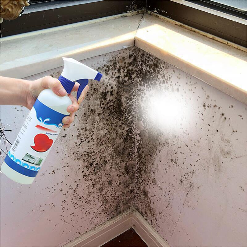 Wall mildew cleaner