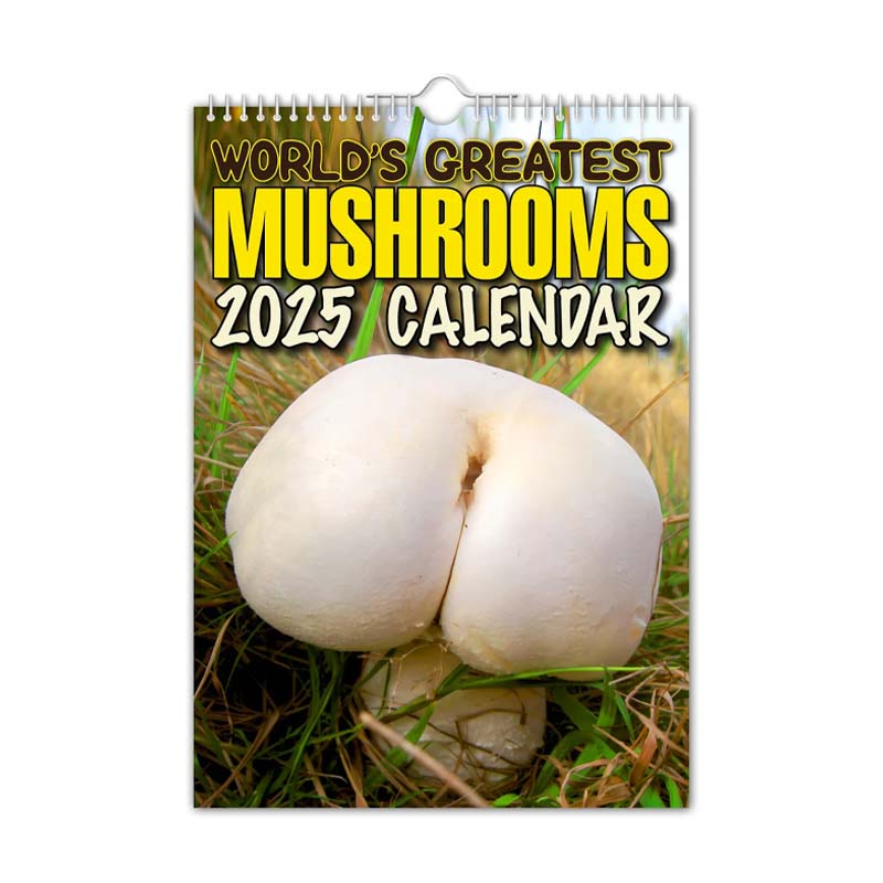 World's Greatest Mushrooms - 2024 Wall Calendar