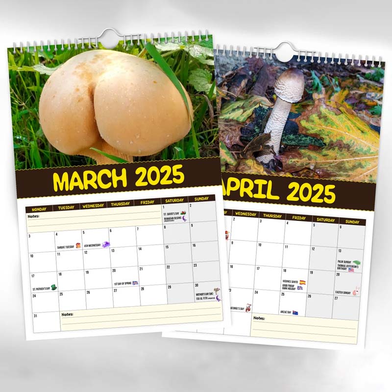 World's Greatest Mushrooms - 2024 Wall Calendar