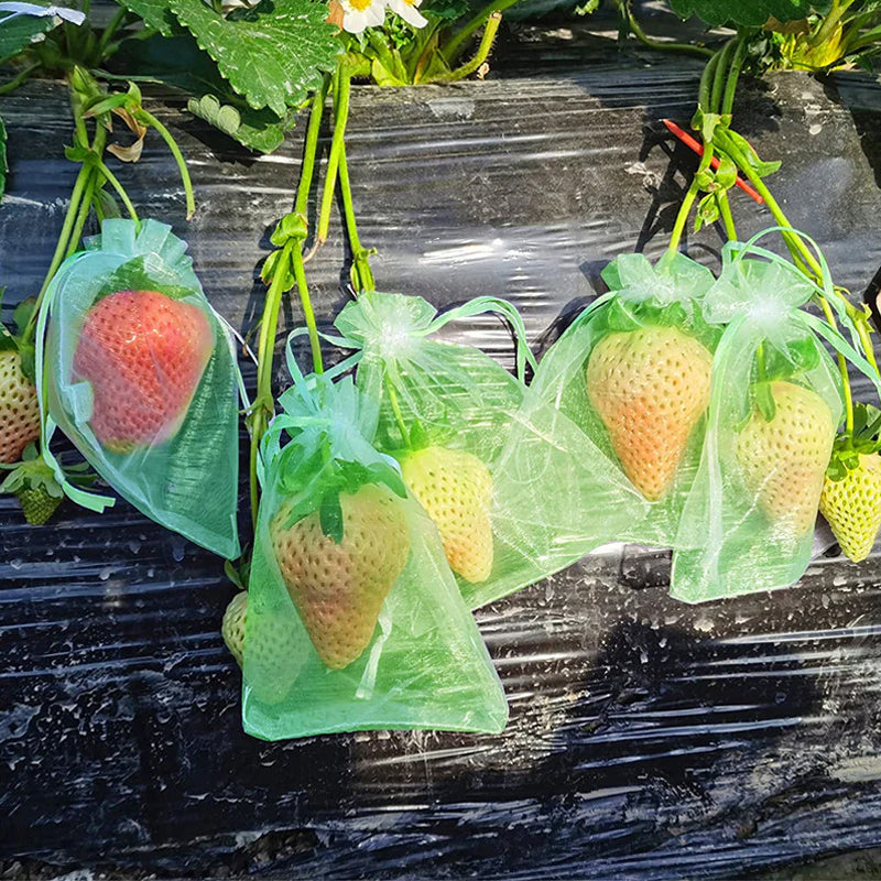 Skyddspåse för frukt (100 PCS)