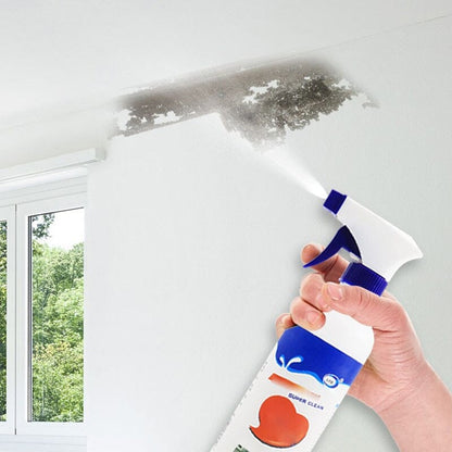 Wall mildew cleaner