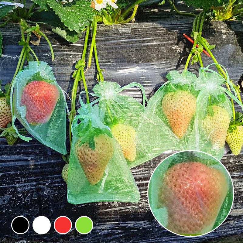 Skyddspåse för frukt (100 PCS)