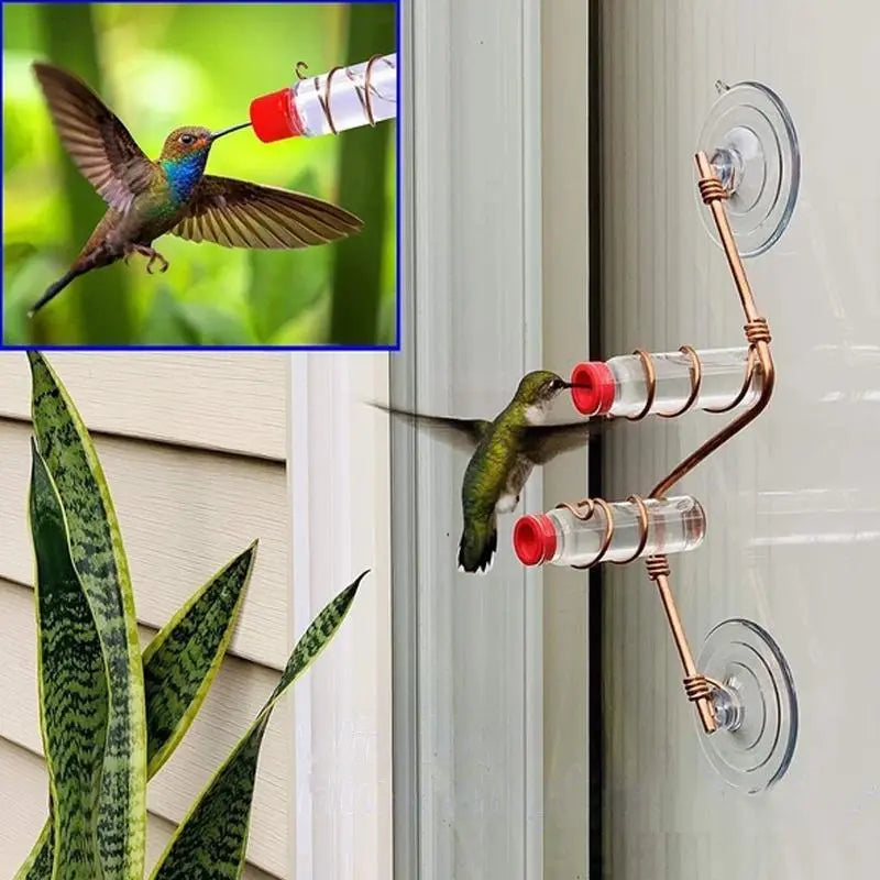 Fönster Hummingbird Feeder - Lamora Sverige