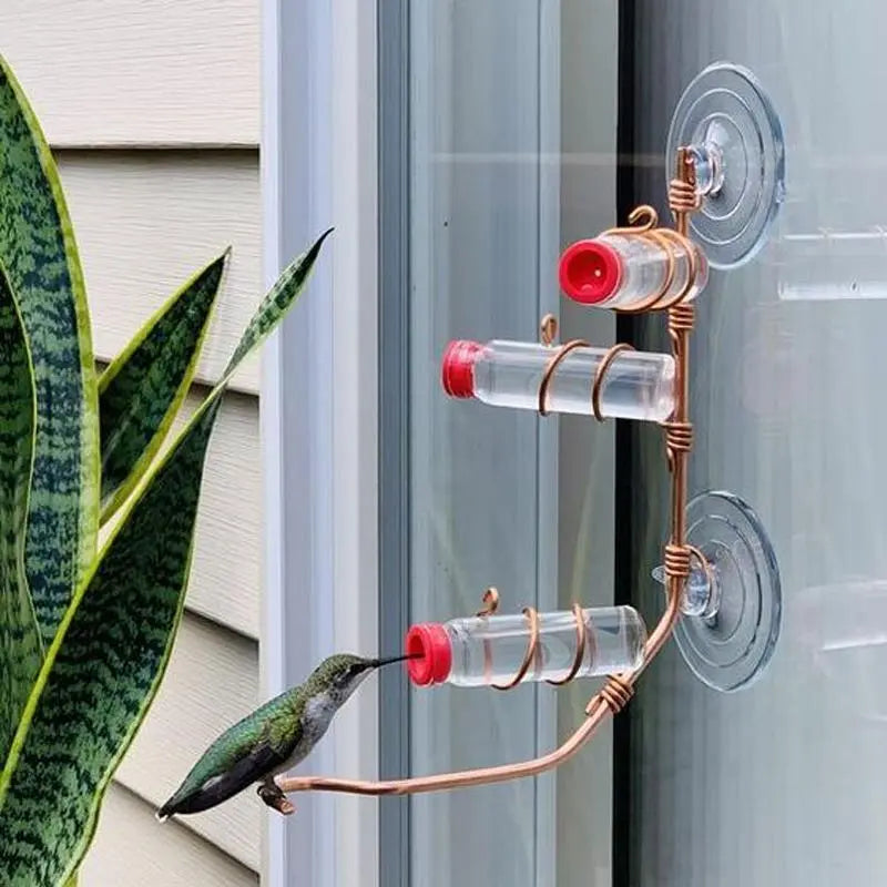 Fönster Hummingbird Feeder - Lamora Sverige