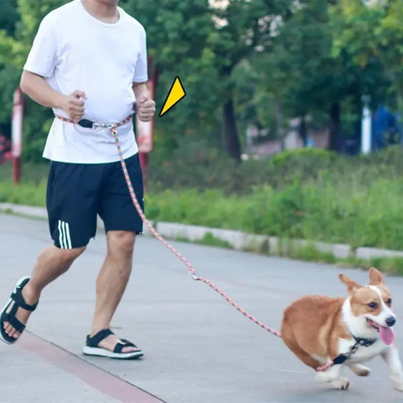 Handsfree hundkoppel - Lamora Sverige