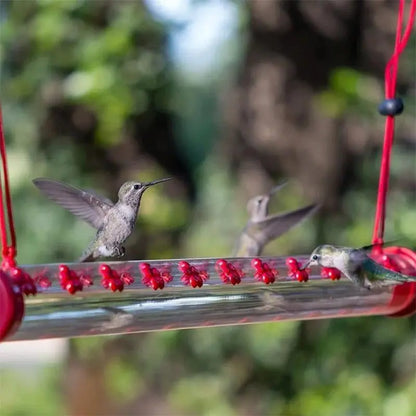 Hängande kolibri matare - Lamora Sverige