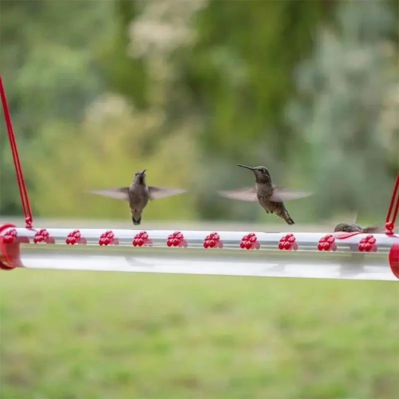 Hängande kolibri matare - Lamora Sverige