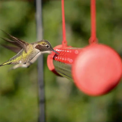 Hängande kolibri matare - Lamora Sverige