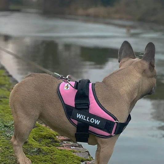 Hundsele - Lamora Sverige