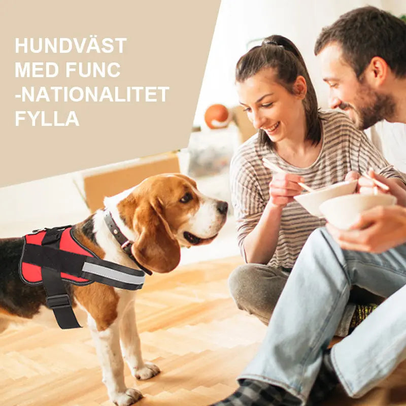 Hundsele - Lamora Sverige