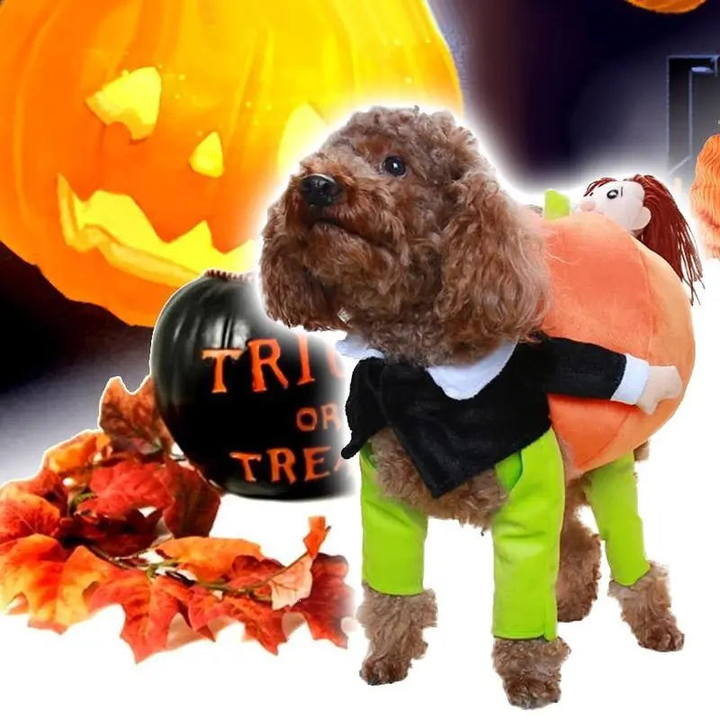 Husdjurs hund Pumpa Halloween -Dräkt - Lamora Sverige