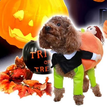 Husdjurs hund Pumpa Halloween -Dräkt - Lamora Sverige