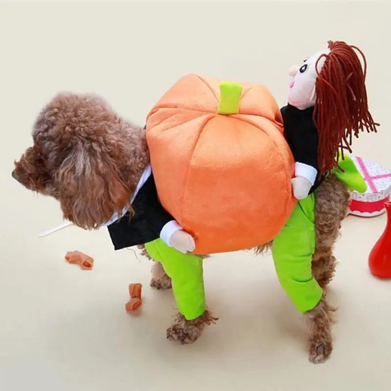 Husdjurs hund Pumpa Halloween -Dräkt - Lamora Sverige