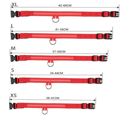 LED Hundhalsband - Lamora Sverige