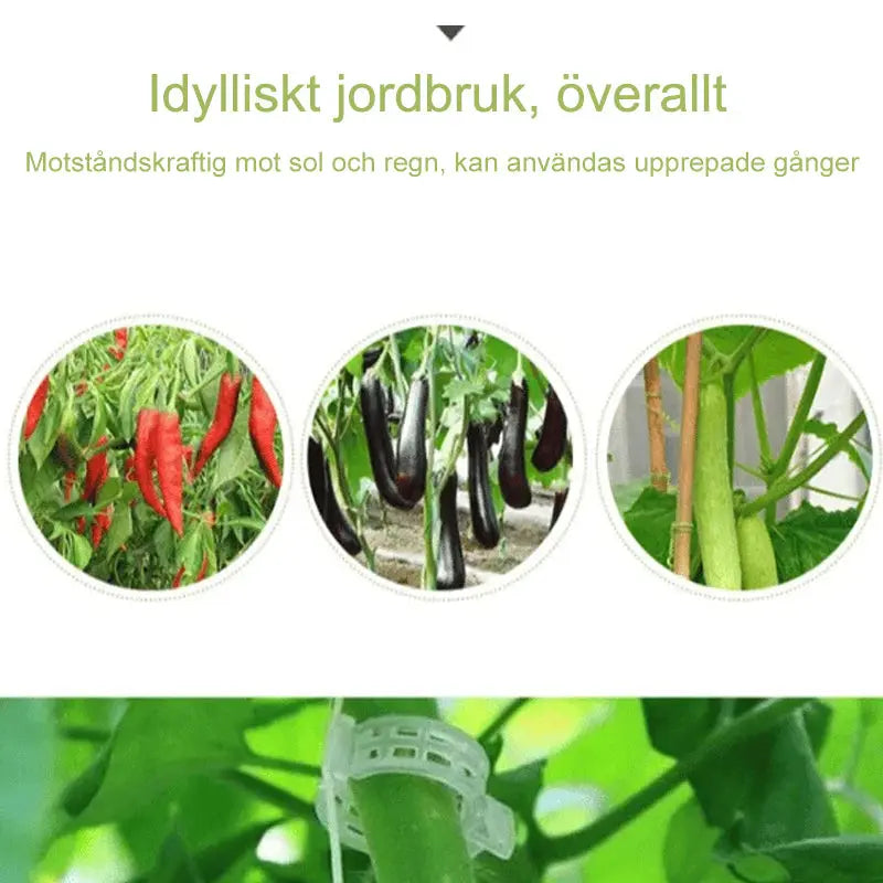 Plantstödsklämmor - Lamora Sverige