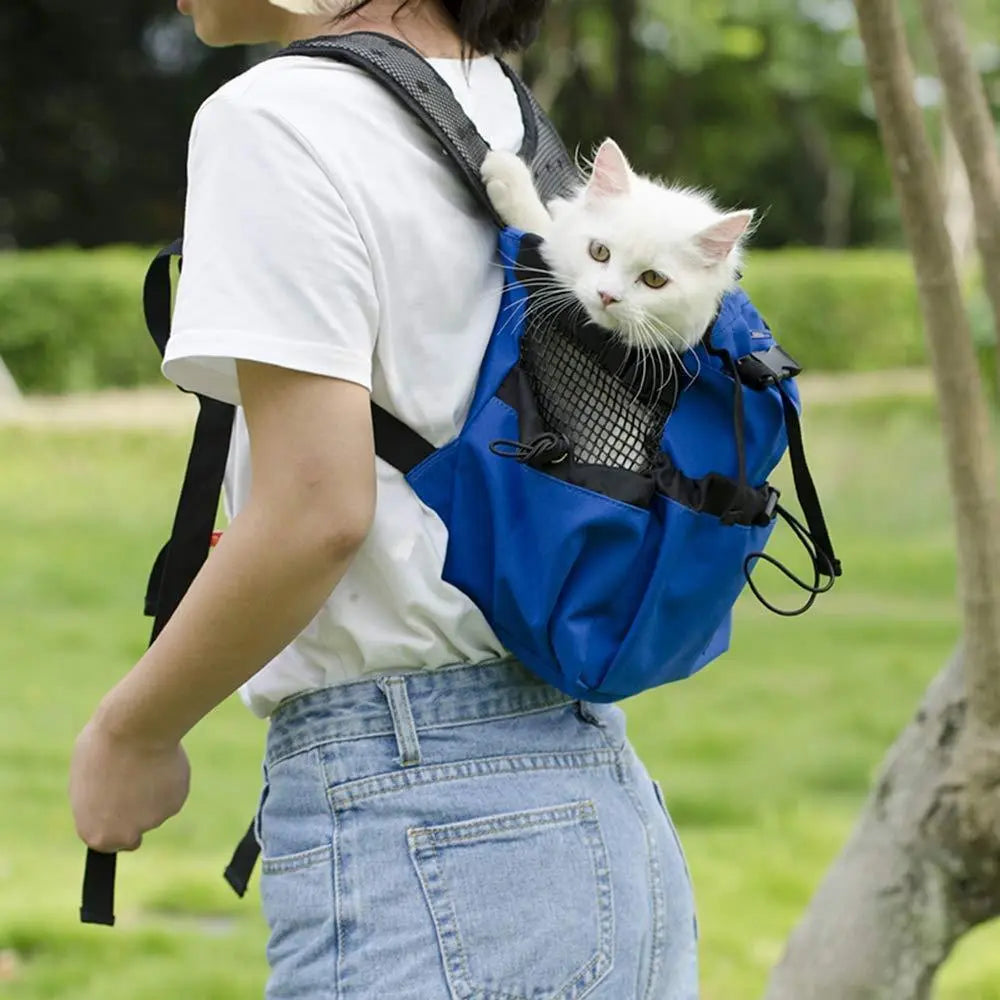 Ryggsäck för hund & Katt - Lamora Sverige