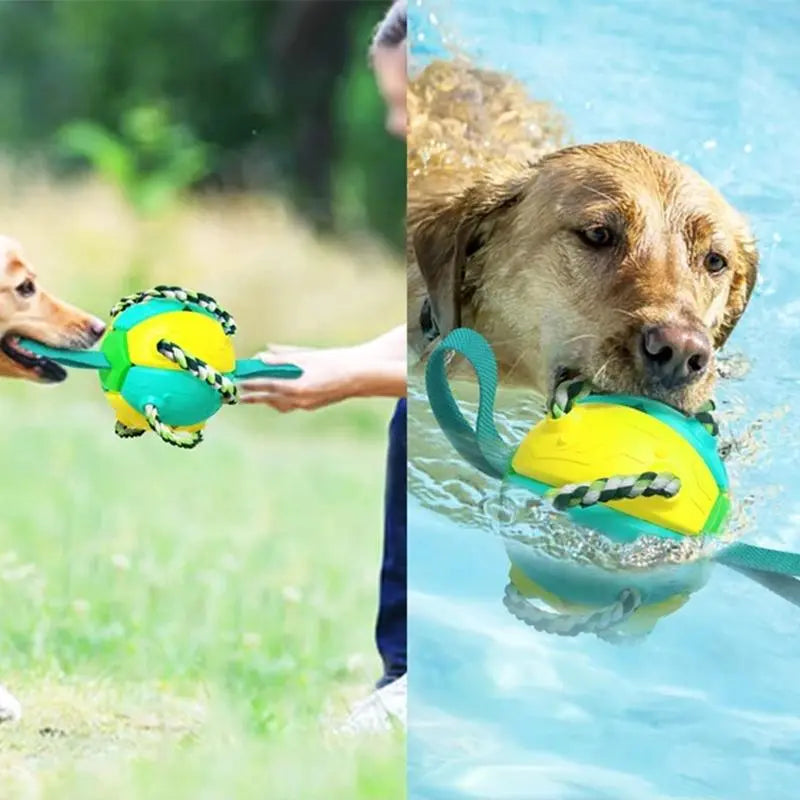 Tuggig klämbar UFO-boll för hund - Lamora Sverige