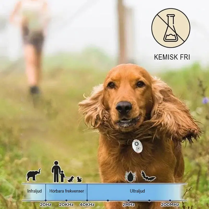 Ultraljudsskydd för loppor och fästingar - Lamora Sverige