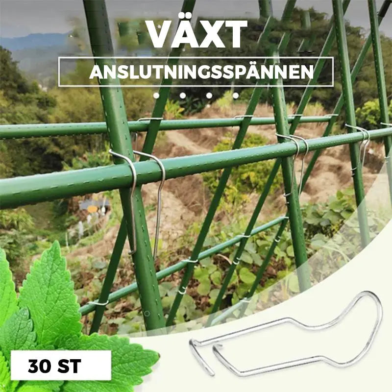 Växtanslutningsspännen - Lamora Sverige