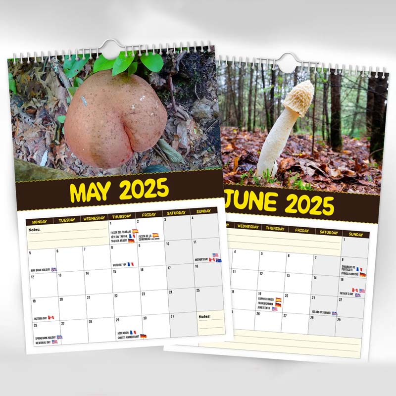 World's Greatest Mushrooms - 2024 Wall Calendar