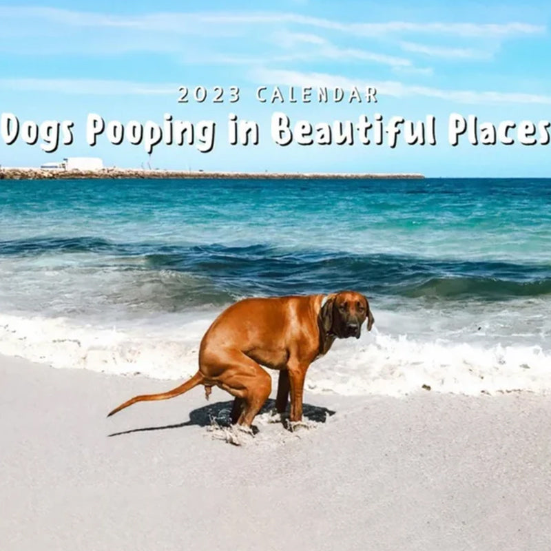 Pooping Pooches Dog Calendar