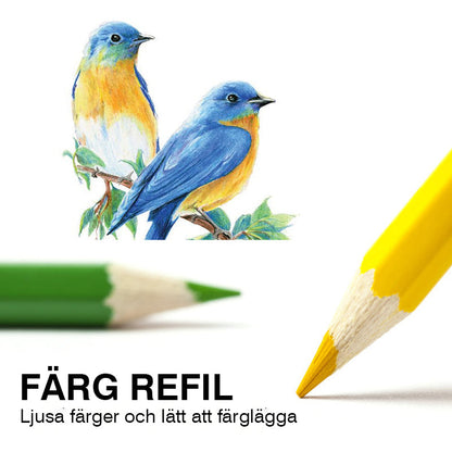 Bärbart färgpennor set