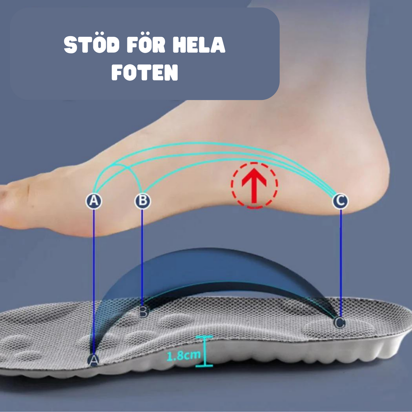 OrtoSole™️- Ortopedisk inläggssula