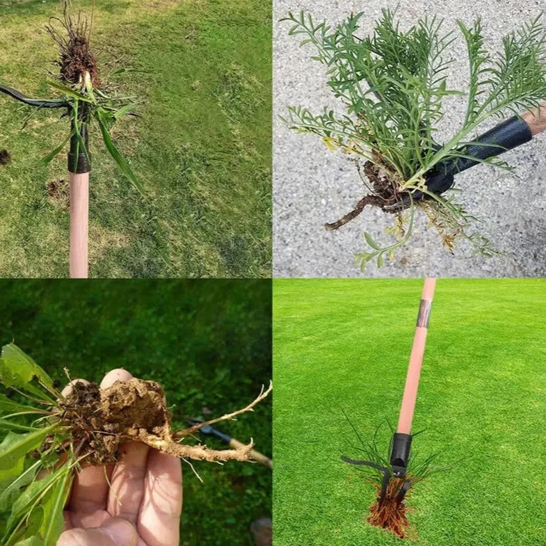 Root Catcher™ - Ogräs Utdragare